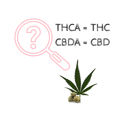 Thca = thc et cbda = cbd comment et pourquoi décarboxyler cannabis
